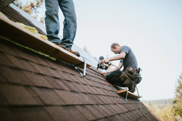 Roof Gutter Cleaning in Arcadia, IN
