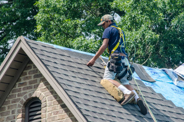 Best Roof Gutter Cleaning  in Arcadia, IN